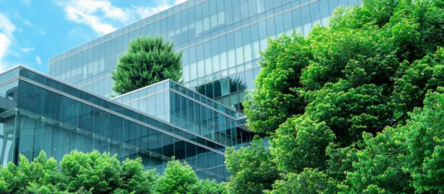 Modern Glass Building Framed By Trees