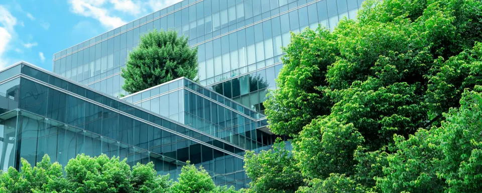 Modern Glass Building Framed By Trees
