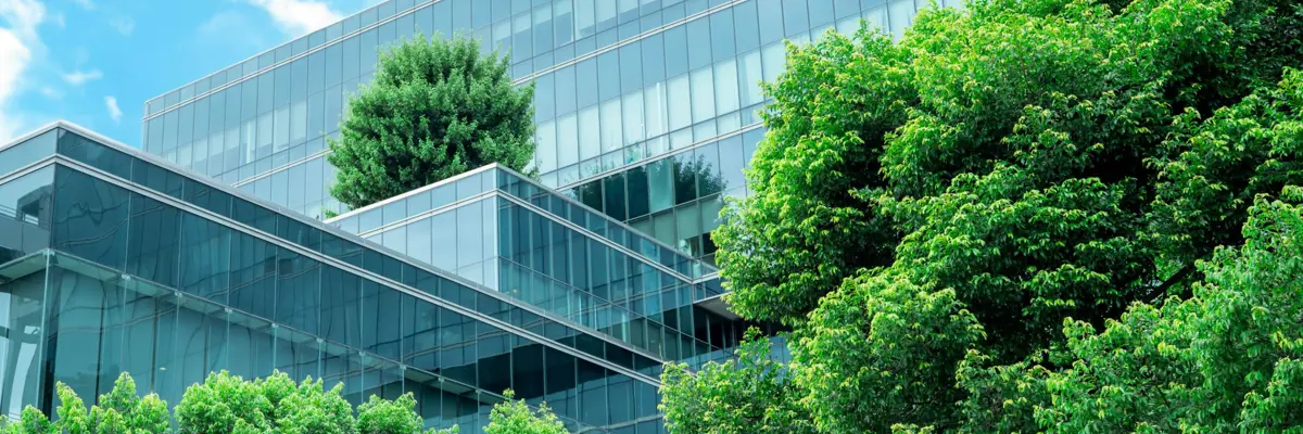 Modern Glass Building Framed By Trees