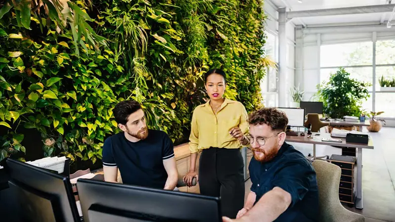Three Colleagues Are Discussing While Looking At A Monitor And Standing In Front Of A Wall Of Green Plants