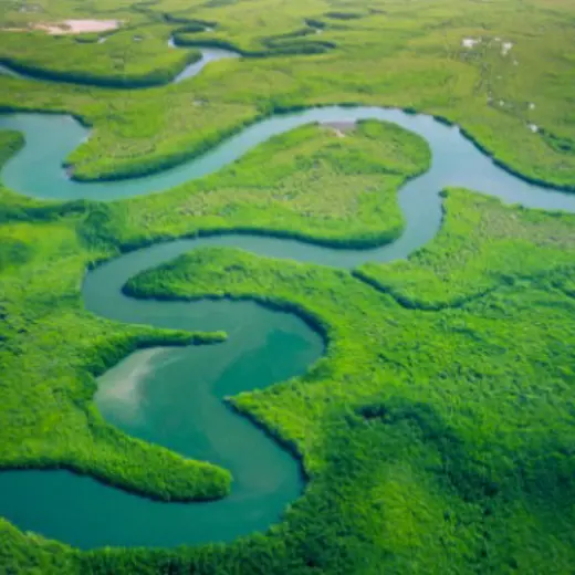 Winding River In Green Landscape