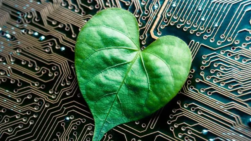 Green leaf over processor platine (Data Center Sustainability)