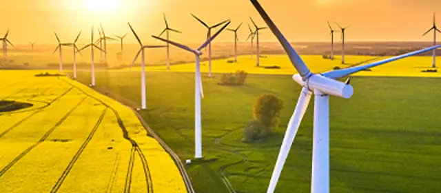 Wind Turbine Yellow Fields