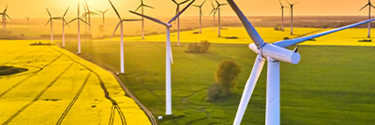Wind Turbine Yellow Fields