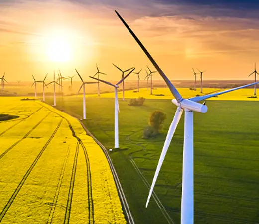 Wind Turbine Yellow Fields