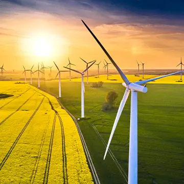 Wind Turbine Yellow Fields