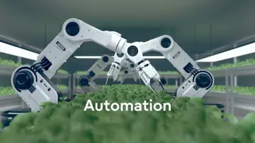 Back To Your Future IT