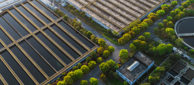 Wastewater Treatment Field