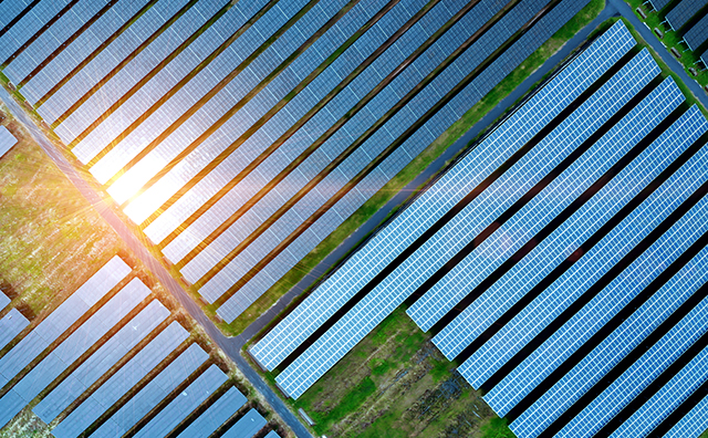 Solar Row Field