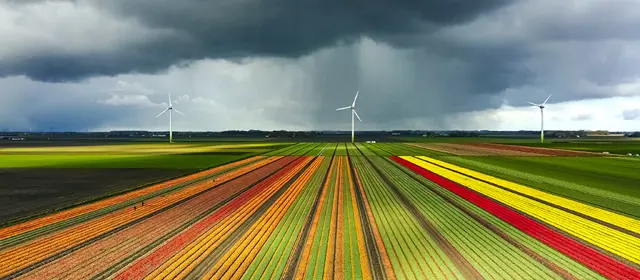 Customer Stories Index 936X578