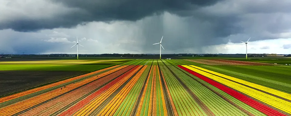 Customer Stories Index 936X578