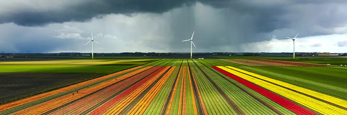 Customer Stories Index 936X578