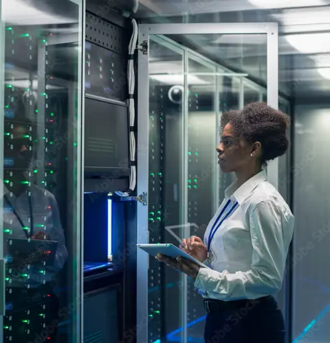 Data Resilience