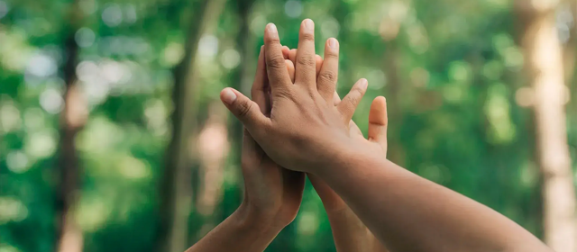 Hands Reaching Up In Front Of Woods