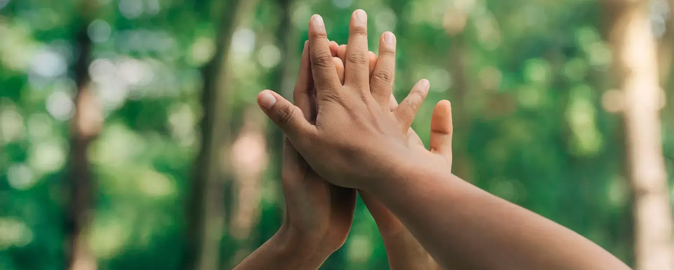 Hands Reaching Up In Front Of Woods