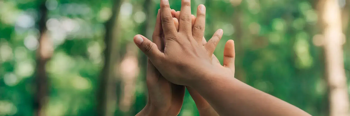 Hands Reaching Up In Front Of Woods