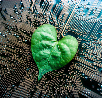 Green Leaf On Circuit Board Symbolizes Green Technology