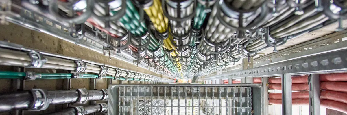 Success Stories Bachner Group (1)