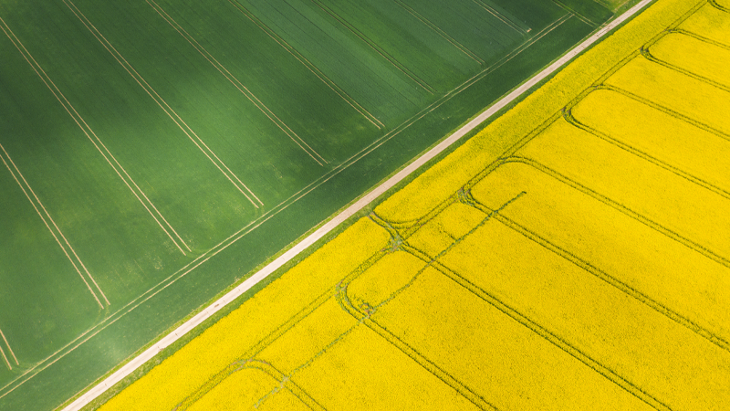 Aerial View Of Two Agricultural Fields