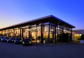 Hirschvogel