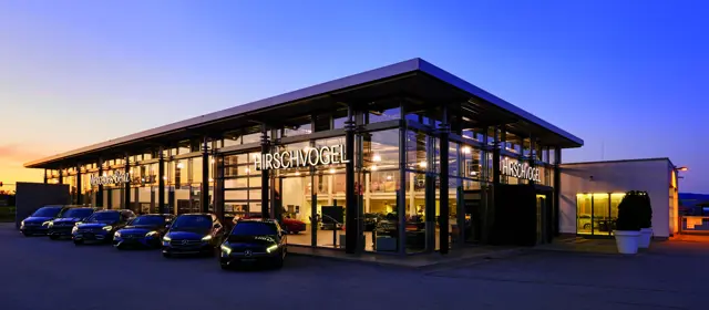 Hirschvogel
