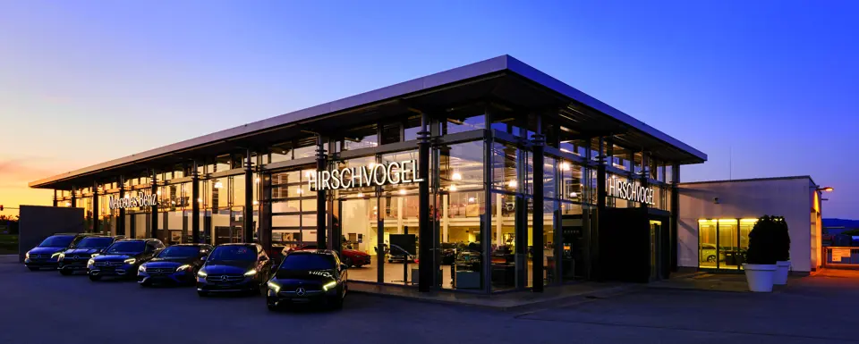 Hirschvogel